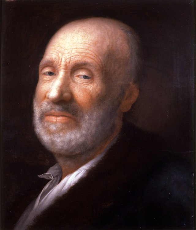 Bildnis eines alten Mannes by Balthasar Denner