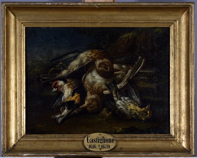 Tote Vögel by Giovanni Benedetto Castiglione