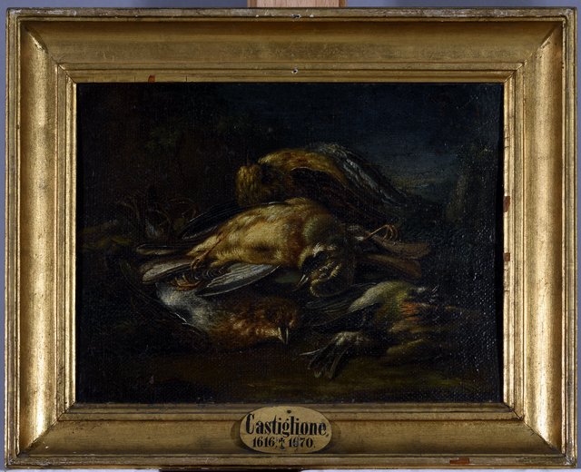 Tote Vögel by Giovanni Benedetto Castiglione