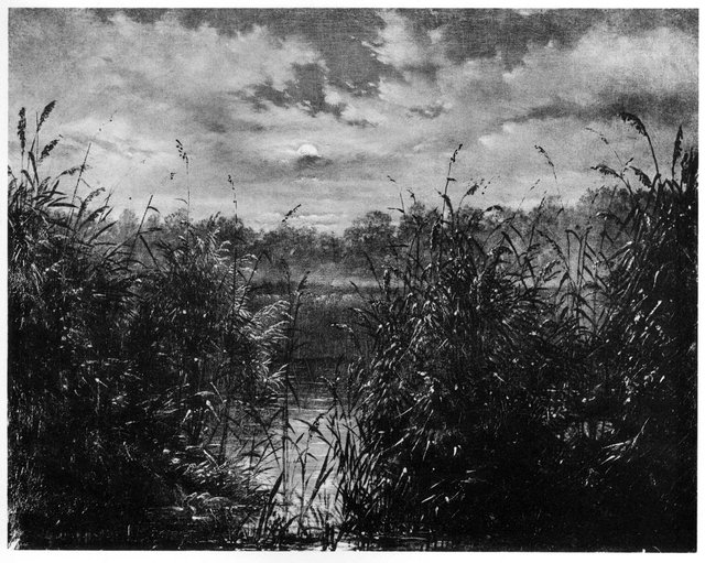 Moon night in the reeds by Carl Gustav Carus