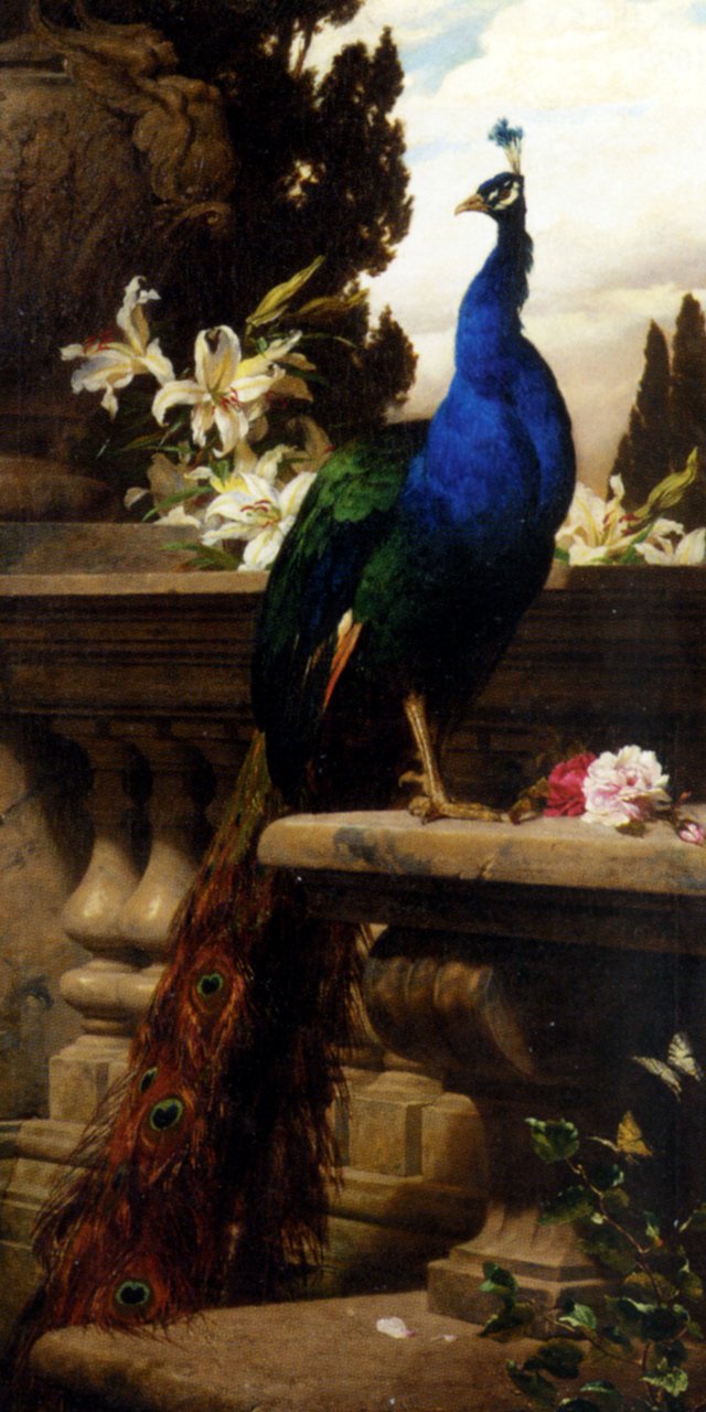 A Peacock in a Classical Landscape with Lillies and Roses by Gyula Benczúr