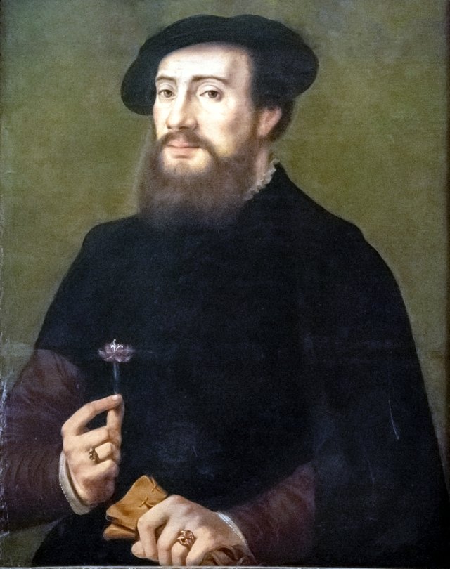 Portrait of a man with a flower by Ambrosius Benson