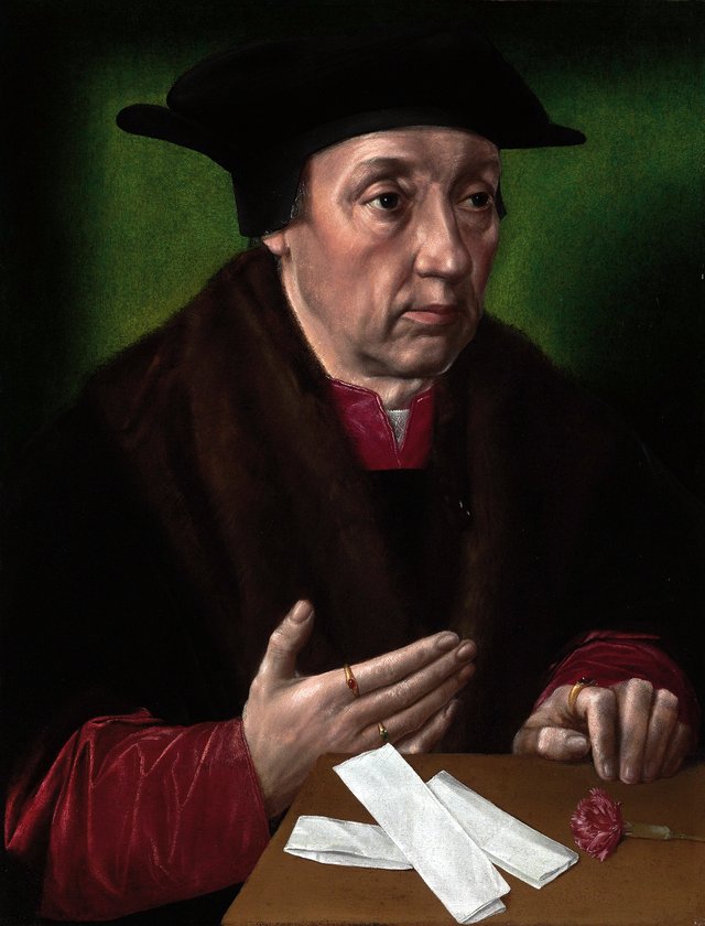 Retrato de un hombre y un vegetal by Ambrosius Benson