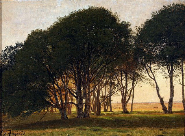 Scenery from Dyrehaven with sunlight. by Carl Frederik Aagaard
