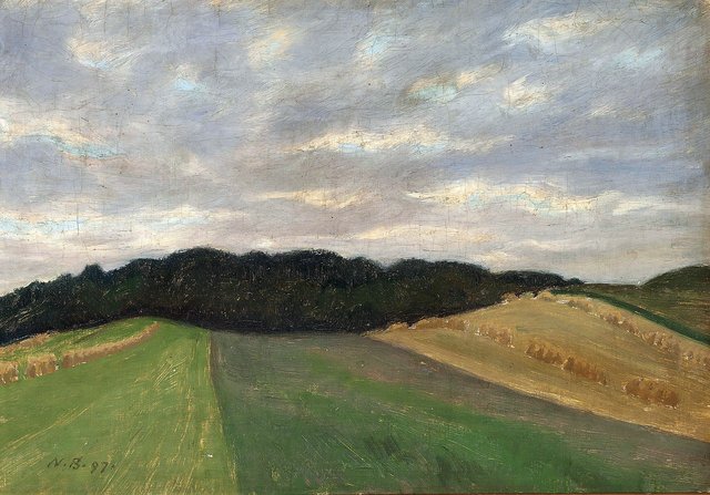 Landscape by Niels Bjerre