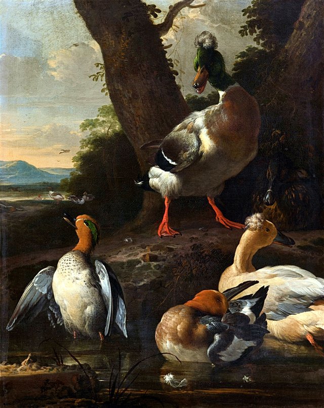 Enten in bewaldeter Landschaft by Melchior d'Hondecoeter