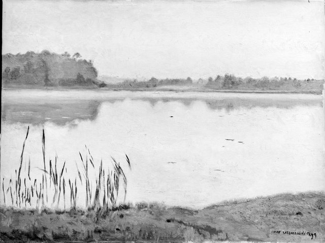 Józef Chełmoński Widok z Radziejowic (Staw w Radziejowicach) by Józef Chełmoński