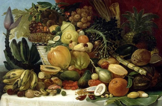 Les Fruits du Nouveau Monde by Jean-Baptiste Debret