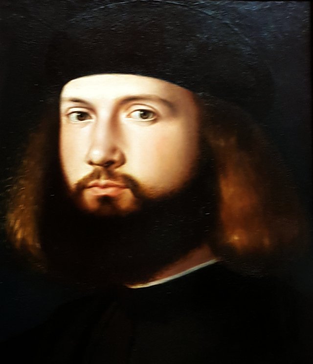 Ritratto di uomo barbuto (Andrea Previtali) by Andrea Previtali