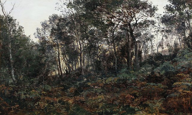 Spring scenery from the woods with golden light. by Janus la Cour