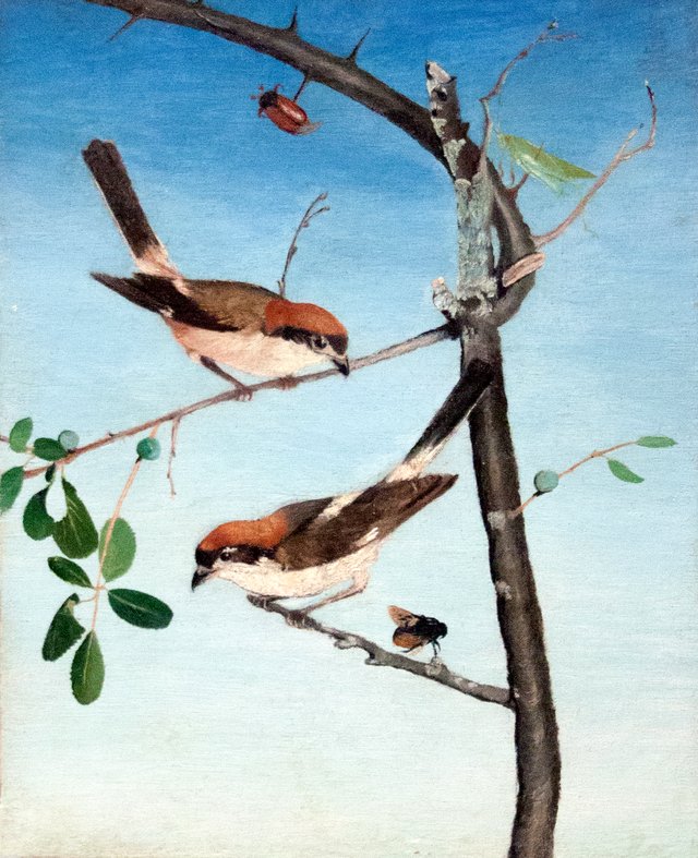 Butcher Birds by Tivadar Csontváry Kosztka