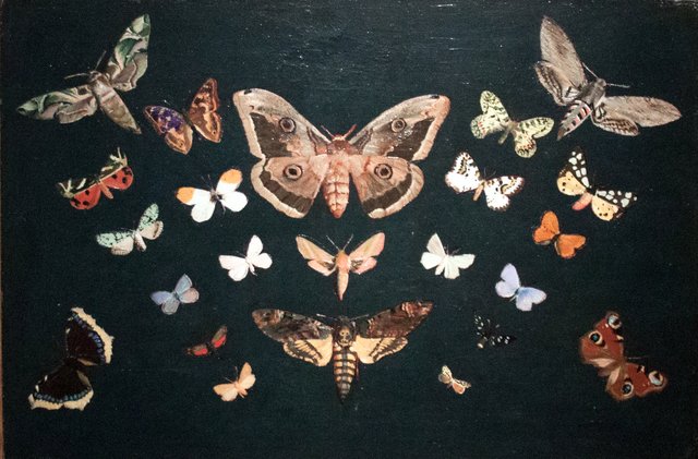 Butterflies by Tivadar Csontváry Kosztka
