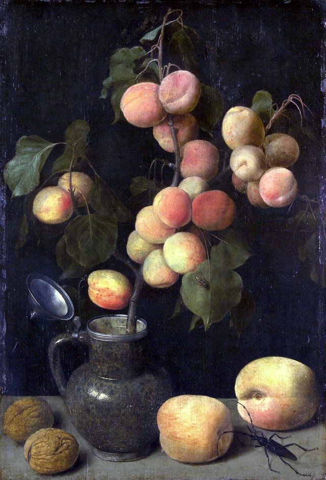 The apricot branch by Georg Flegel