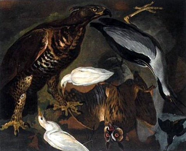 Six oiseaux de diverses espèces by Alexandre-François Desportes