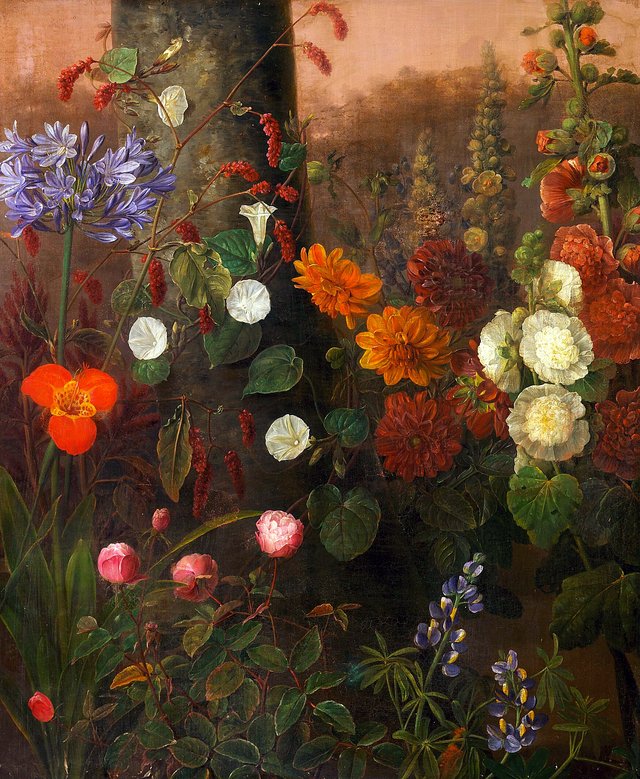 Wild flowers in a field. by Johannes Ludvig Camradt