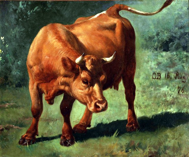 A cow. by Otto Bache