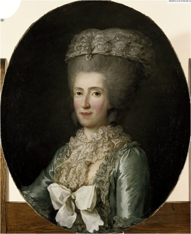 Marie-Adélaïde de France, dite Madame Adélaïde by Anne Vallayer-Coster