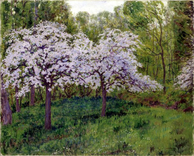 Zwei blühende Bäume in einem Waldstück bei Vignage by Georges Lacombe