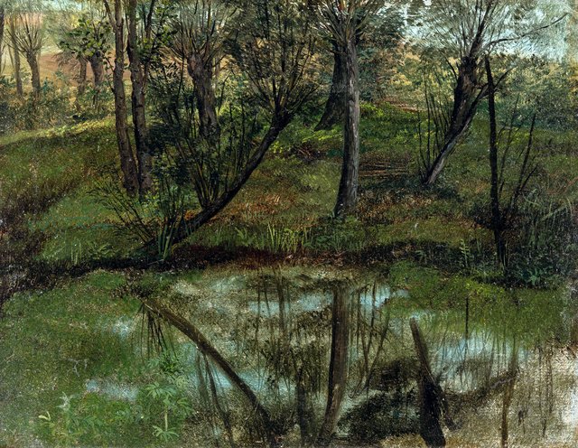 Weir in a forest by Carl Gustav Carus