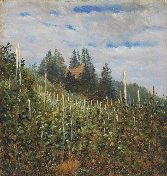 Sunny vineyard in Pillnitz by Carl Gustav Carus