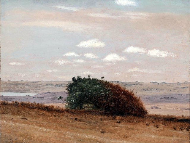 Heath landscape near Salling with a bush. by Christen Dalsgaard