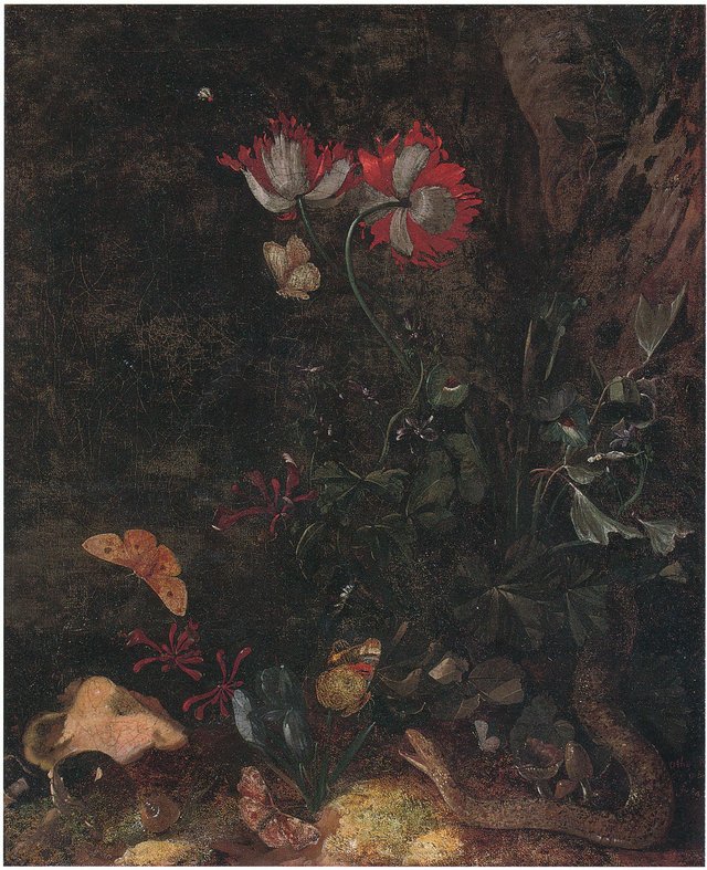 A forest floor still life with a snake, a snail, butterflies, poppies and other flowers by Otto Marseus van Schrieck