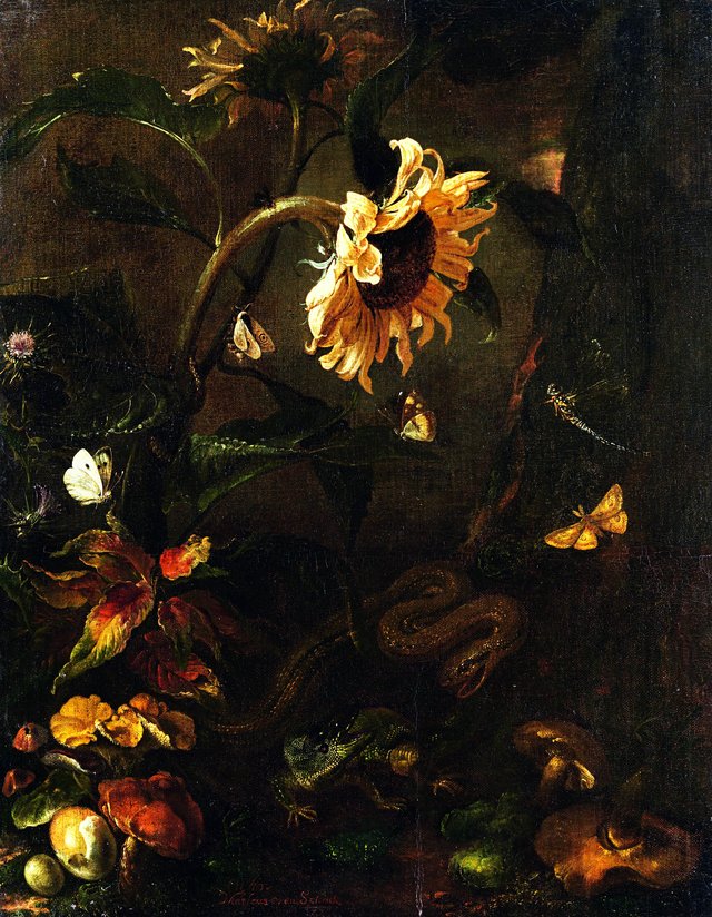 Forest floot still life with sunflowers, a snake, a lizard, butterflies and mushrooms by Otto Marseus van Schrieck
