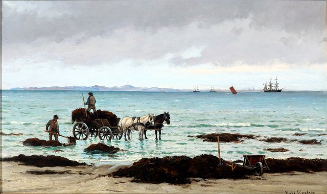 Collecting sea-weed at Dronningmølle. by Carl Locher