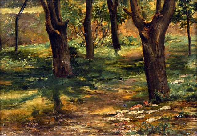 Trees by Zdenka Braunerová