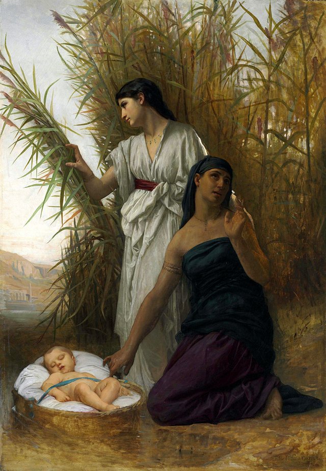 Moses in the Bulrushes by Elizabeth Jane Gardner