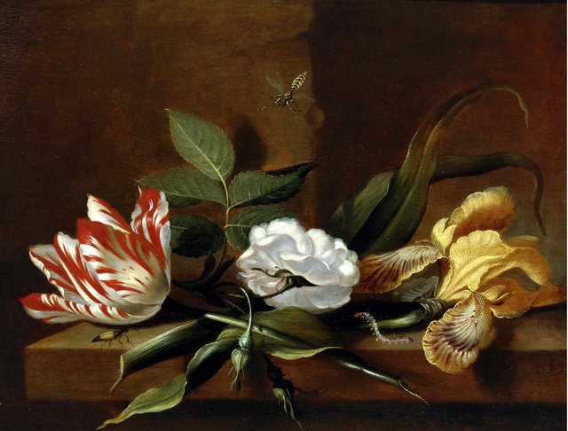 Still life with a yellow iris, a parrot tulip, a white rose and insects on a wooden table ledge by Jacob Marrel