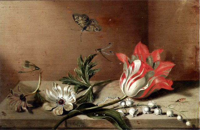 Still life with a tulip, anemones, lily-of-the-valley, a caterpillar, a butterfly and other insects on a wooden ledge by Jacob Marrel