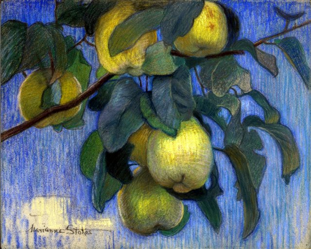 Quinces by Marianne Stokes
