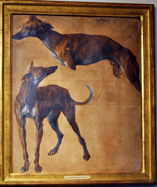 Étude de Greyhounds by Alexandre-François Desportes