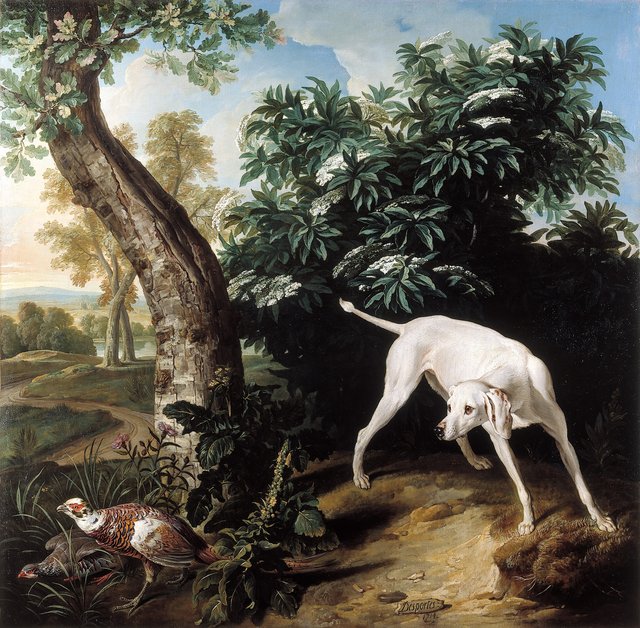 Chienne blanche devant un buisson de sureau by Alexandre-François Desportes