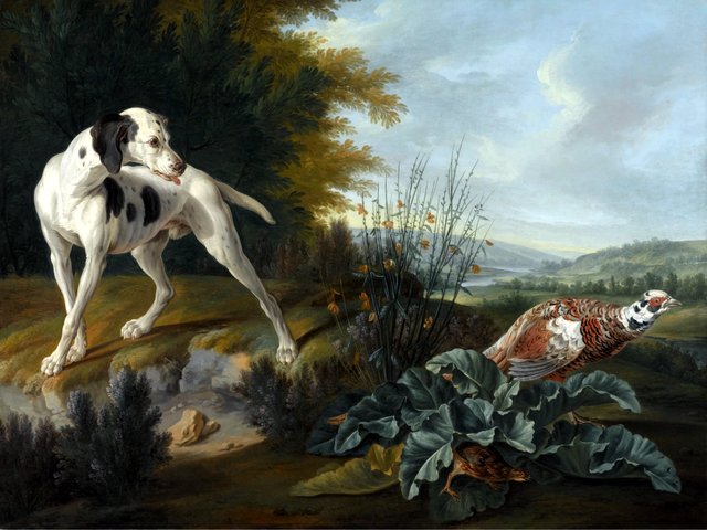 Chien pointer posant devant un faisan et une perdrix by Alexandre-François Desportes