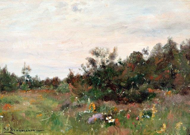 Flowering meadow by Zdenka Braunerová