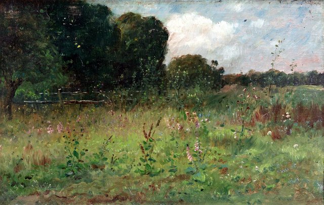 At the edge of the meadow by Zdenka Braunerová