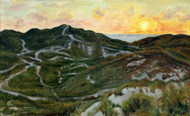 Evening in the dunes. Nørre Lyngvig. by Niels Bjerre
