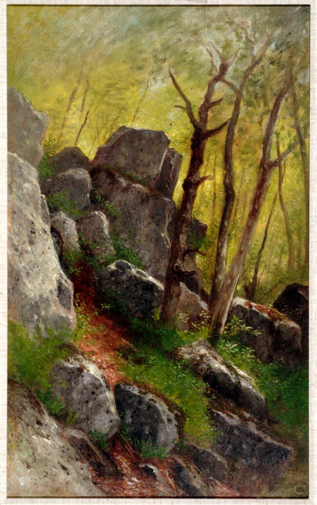 Landscape with Boulders by Samuel Colman