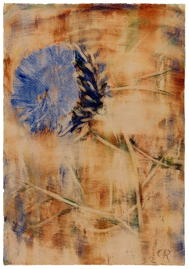 Blaue Blüte auf rötlichem Grund (Distel) by Christian Rohlfs