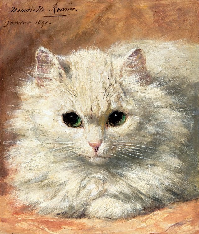 Kopje van wit angorakatje by Henriëtte Ronner-Knip