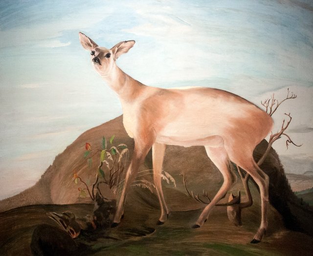 Deer by Tivadar Csontváry Kosztka