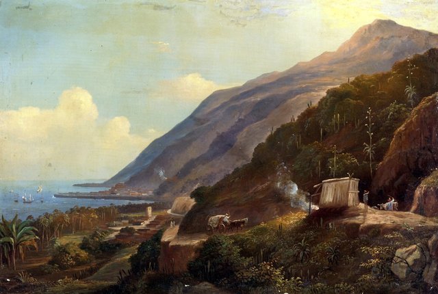 Camino nuevo de Maiquetía by Fritz Melbye