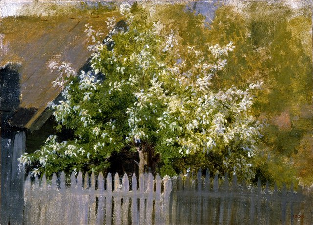 Левитан Черемуха by Isaac Levitan