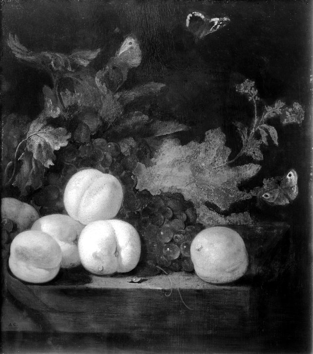 Vruchtenstilleven met perziken by Abraham van Calraet