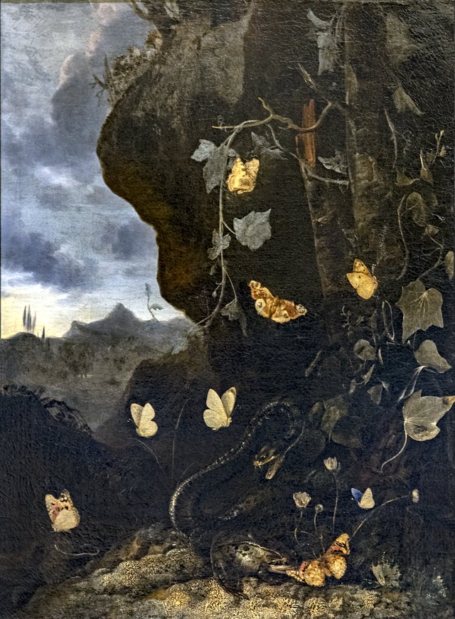 Snakes, toads and butterflies by Otto Marseus van Schrieck