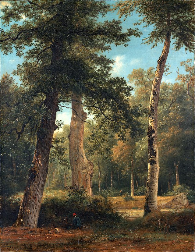 A forest in Fontainebleau by Georgius Jacobus Johannes van Os