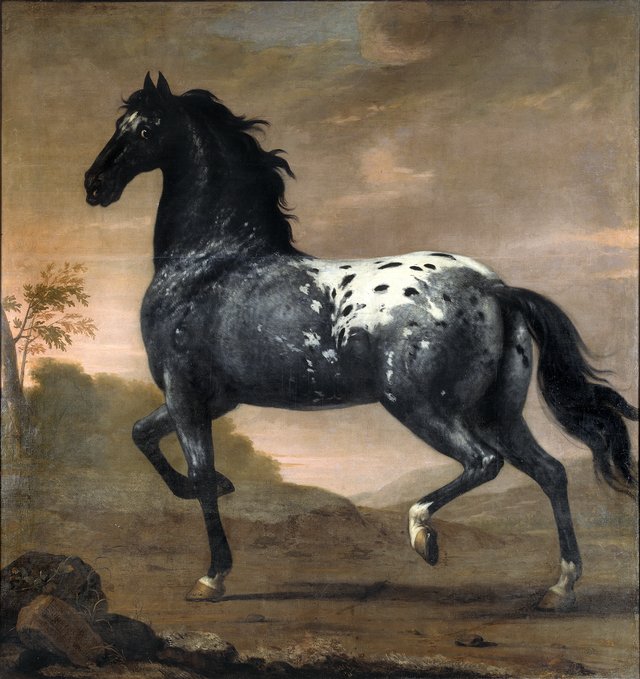Karl XI:s livhäst Blå Tigern by David Klöcker Ehrenstrahl