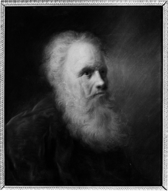 Portrait of an Old Man by Balthasar Denner
